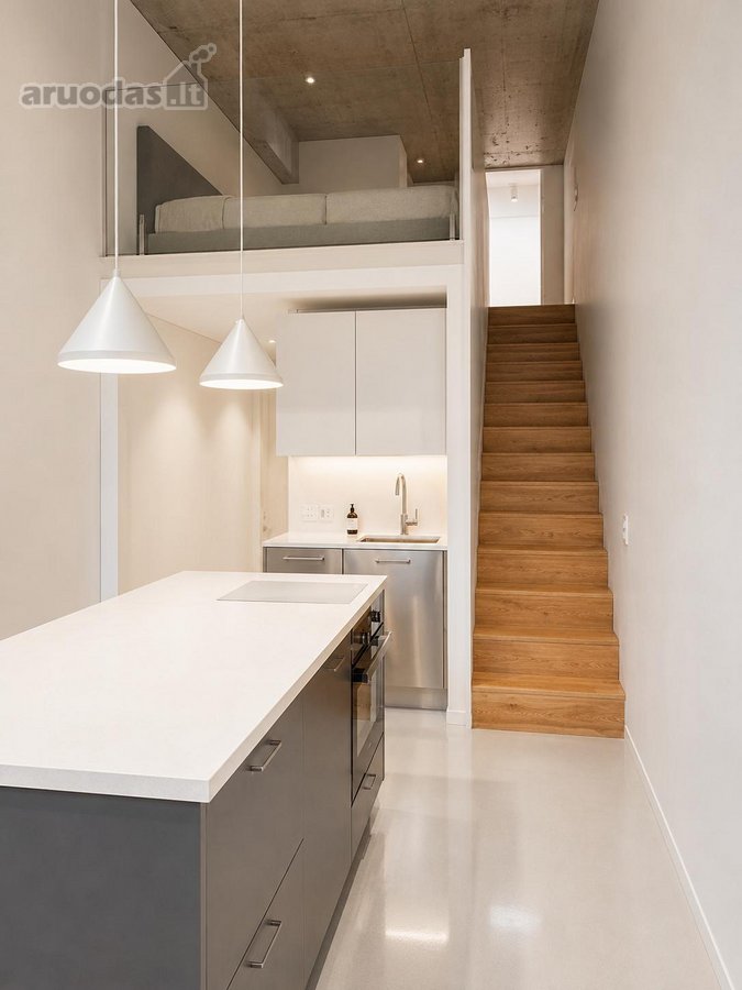 Šviesus, architekto kurtas loftas „Elektrit