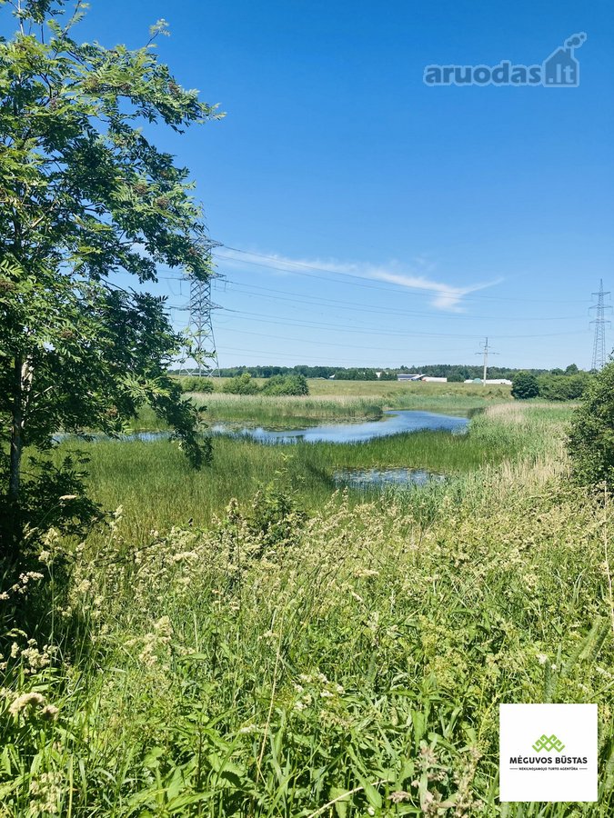 Parduodamas 2,27 ha žemės ūkio paskirties - nuotraukos Nr. 2