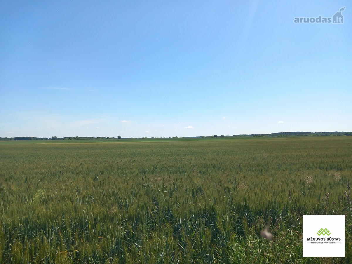Parduodamas 2,27 ha žemės ūkio paskirties - nuotraukos Nr. 5