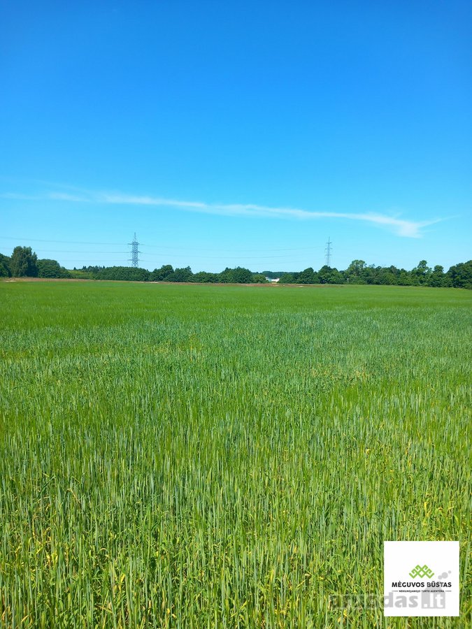 Parduodamas 2,27 ha žemės ūkio paskirties - nuotraukos Nr. 6