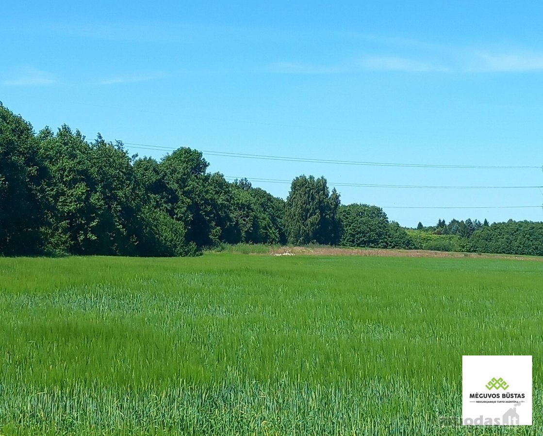 Parduodamas 2,27 ha žemės ūkio paskirties