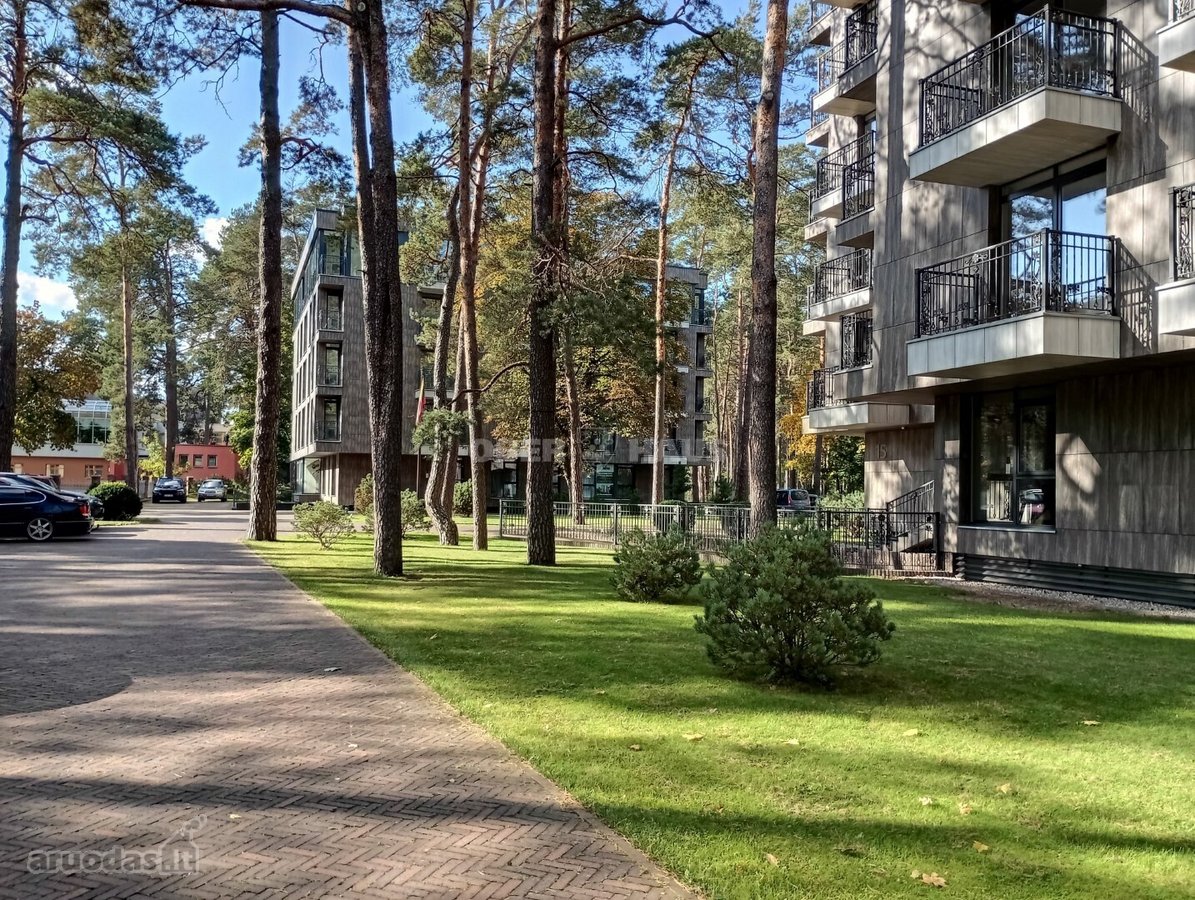 Gyventi ir poilsiauti Druskininkuose, reiškia - nuotraukos Nr. 20