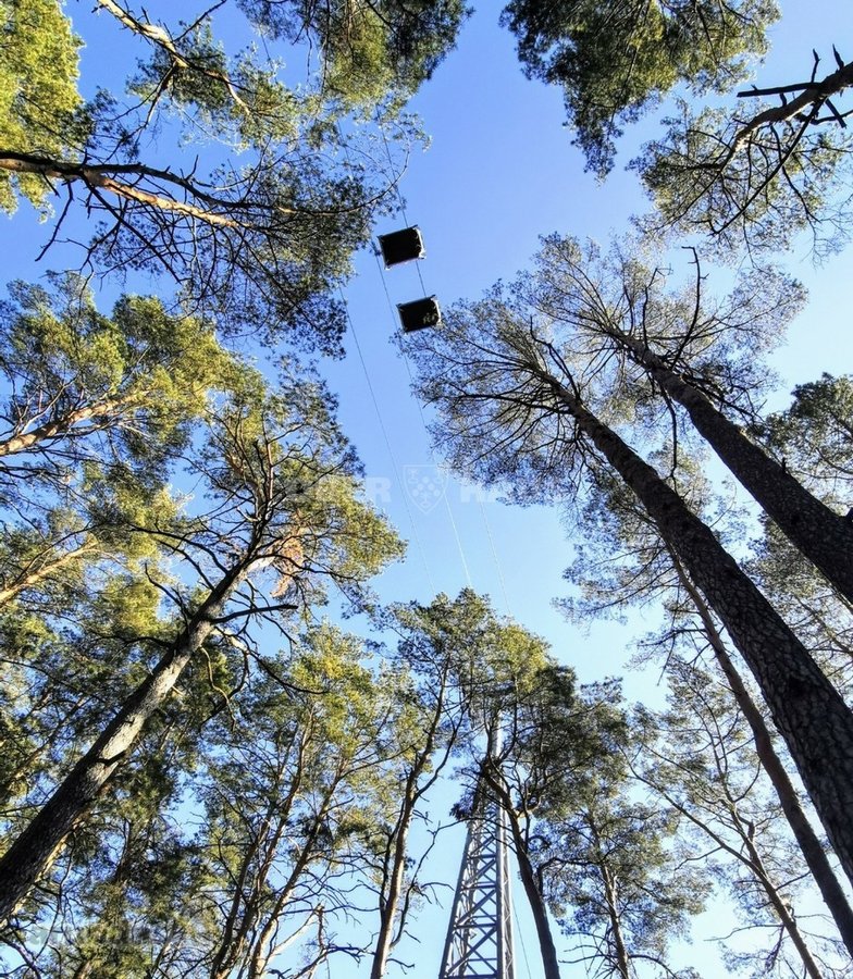 Gyventi ir poilsiauti Druskininkuose, reiškia - nuotraukos Nr. 21