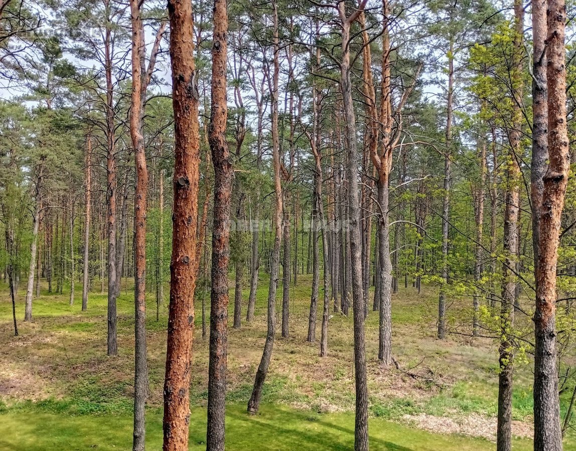 Gyventi ir poilsiauti Druskininkuose, reiškia - nuotraukos Nr. 12