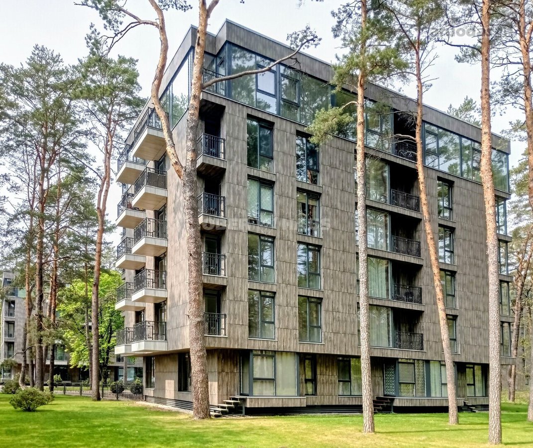 Gyventi ir poilsiauti Druskininkuose, reiškia - nuotraukos Nr. 3