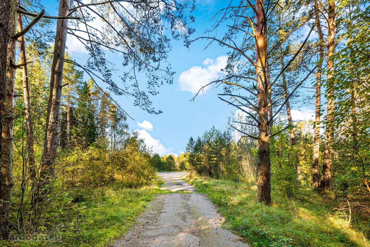 Parduodamas komercinės paskirties 3 ha - nuotraukos Nr. 4