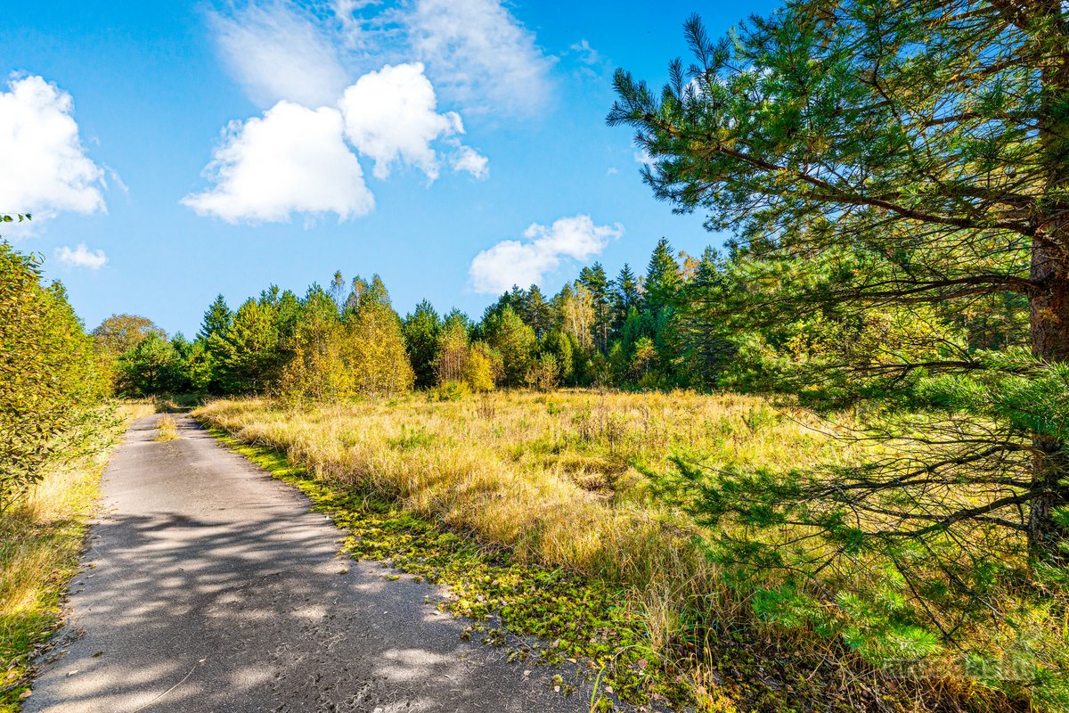 Parduodamas komercinės paskirties 3 ha - nuotraukos Nr. 8
