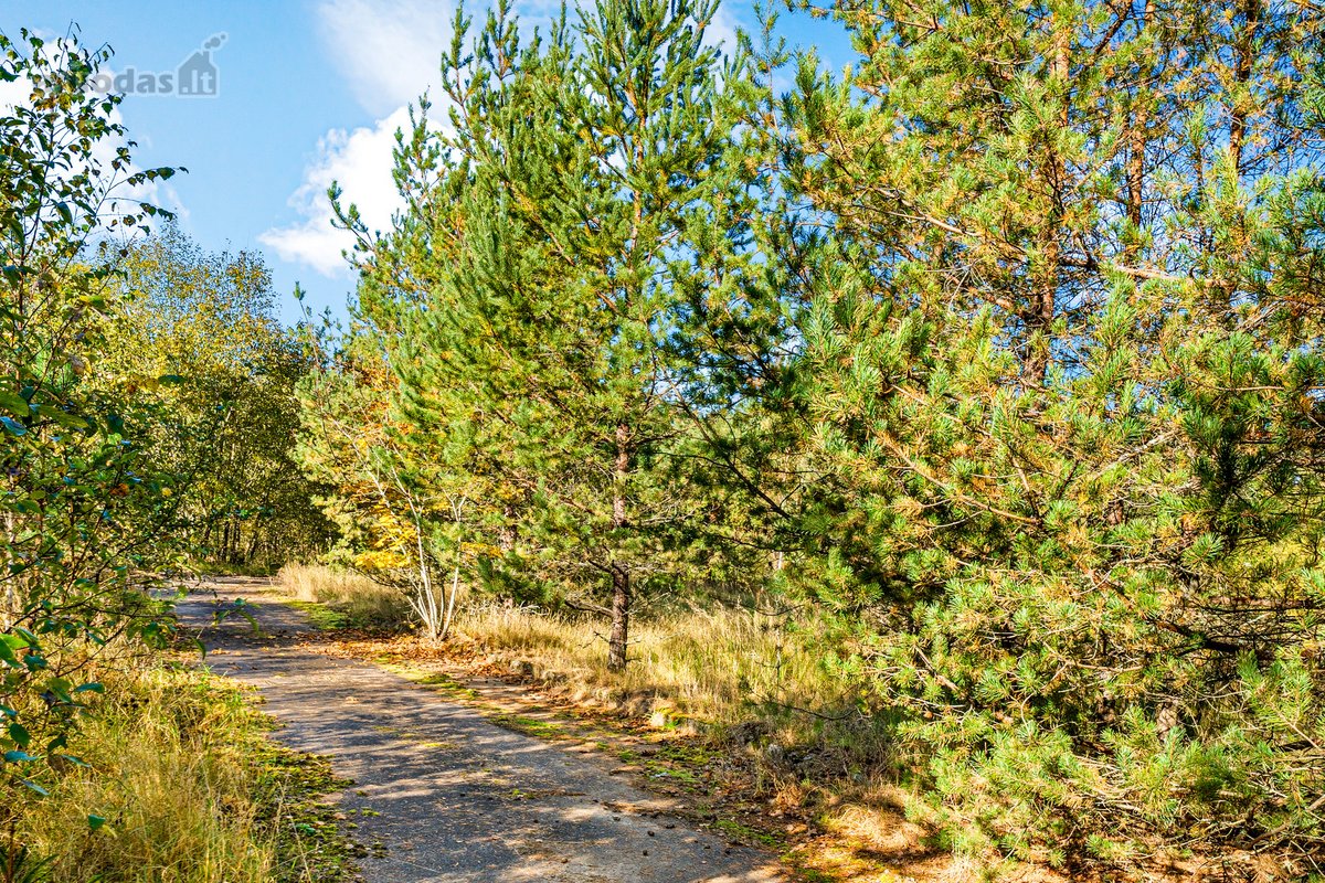 Parduodamas komercinės paskirties 3 ha - nuotraukos Nr. 12