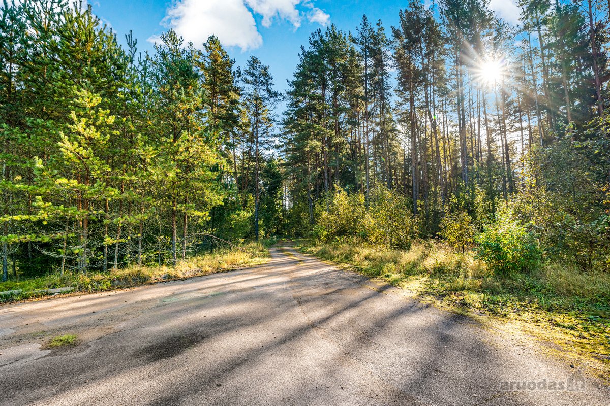 Parduodamas komercinės paskirties 3 ha - nuotraukos Nr. 13