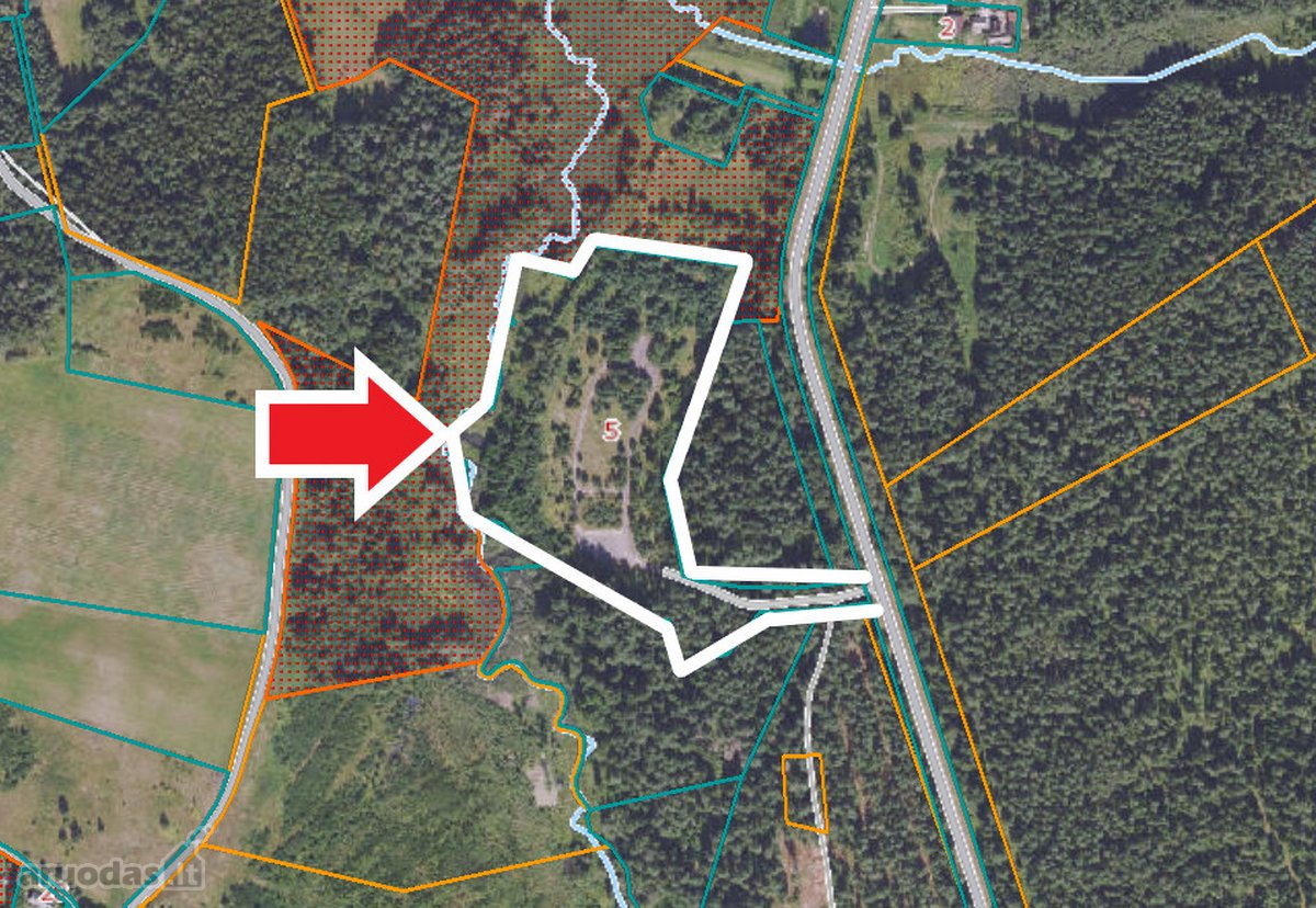 Parduodamas komercinės paskirties 3 ha - nuotraukos Nr. 14