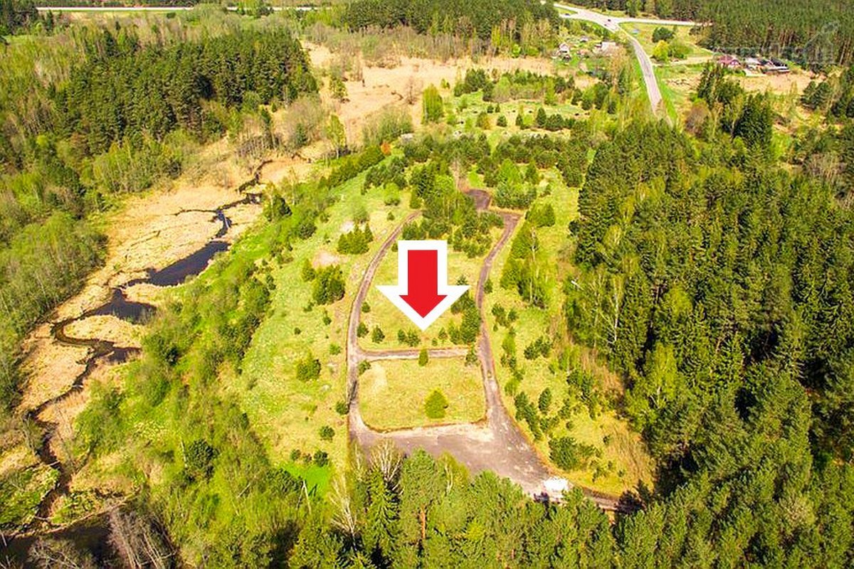 Parduodamas komercinės paskirties 3 ha - nuotraukos Nr. 16