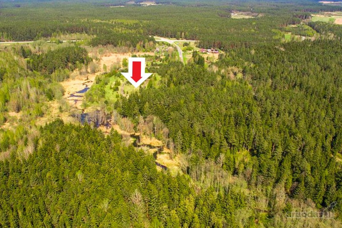 Parduodamas komercinės paskirties 3 ha - nuotraukos Nr. 17