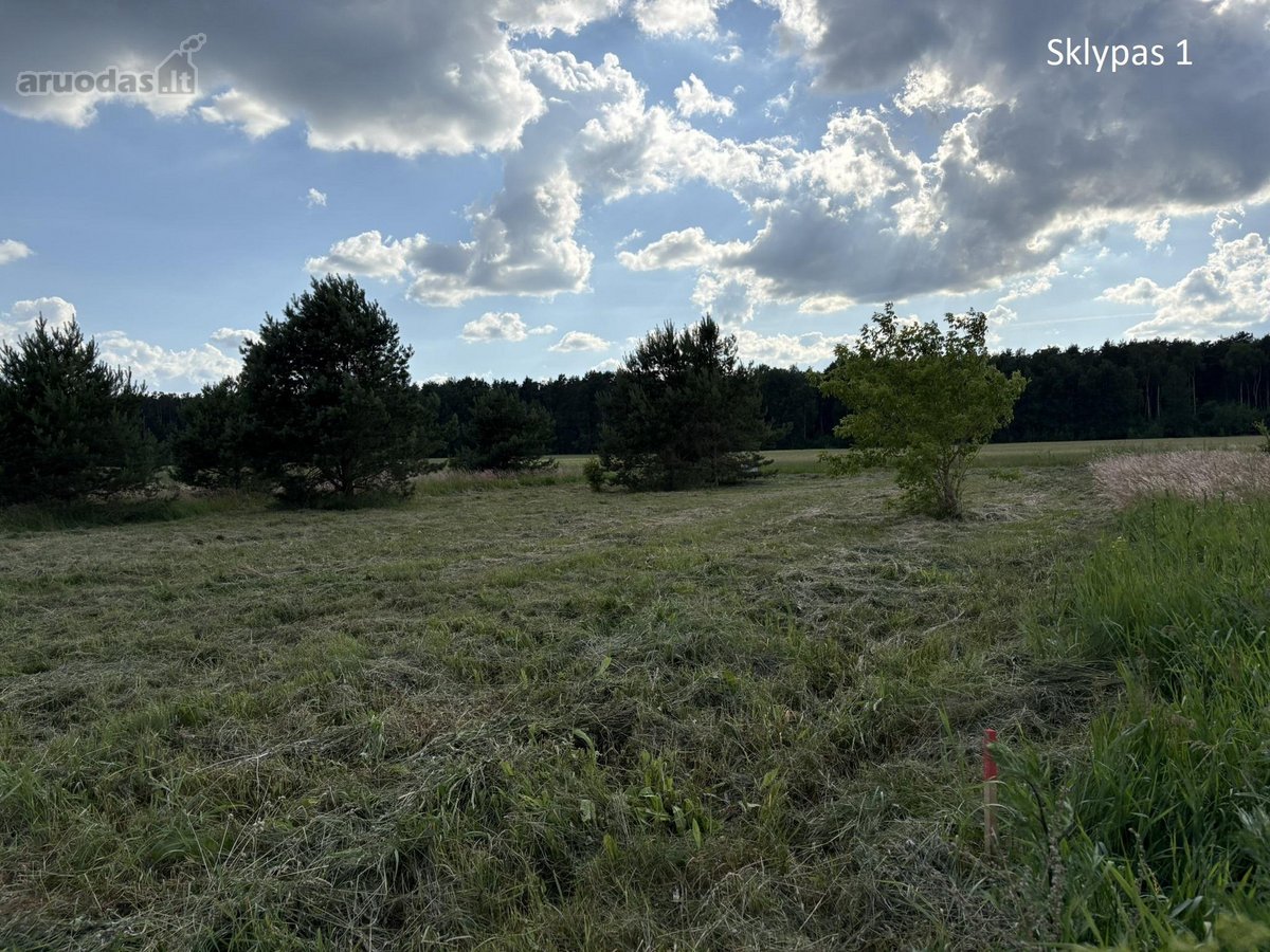 Parduodamas Sklypas Totorinės Km. (Prie - nuotraukos Nr. 3