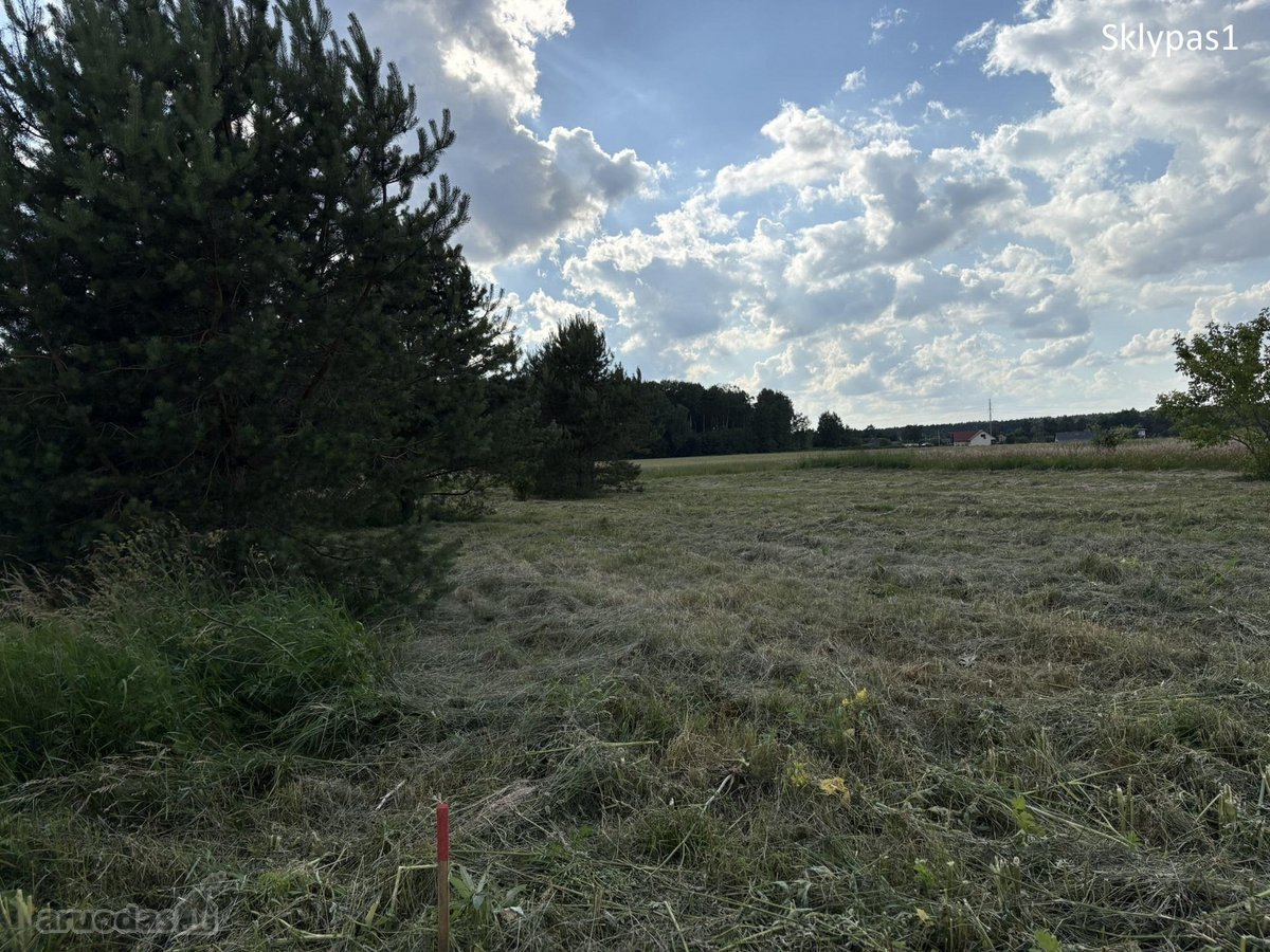 Parduodamas Sklypas Totorinės Km. (Prie - nuotraukos Nr. 4