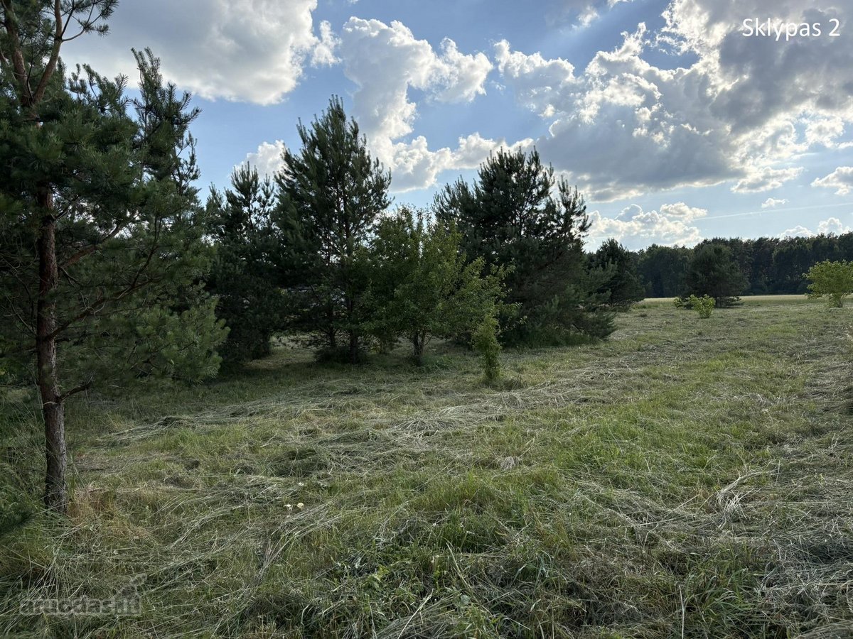 Parduodamas Sklypas Totorinės Km. (Prie - nuotraukos Nr. 7