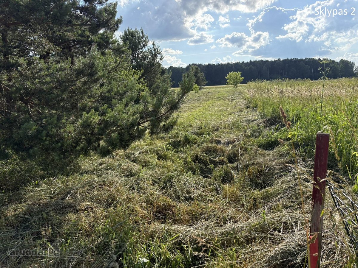 Parduodamas Sklypas Totorinės Km. (Prie - nuotraukos Nr. 8