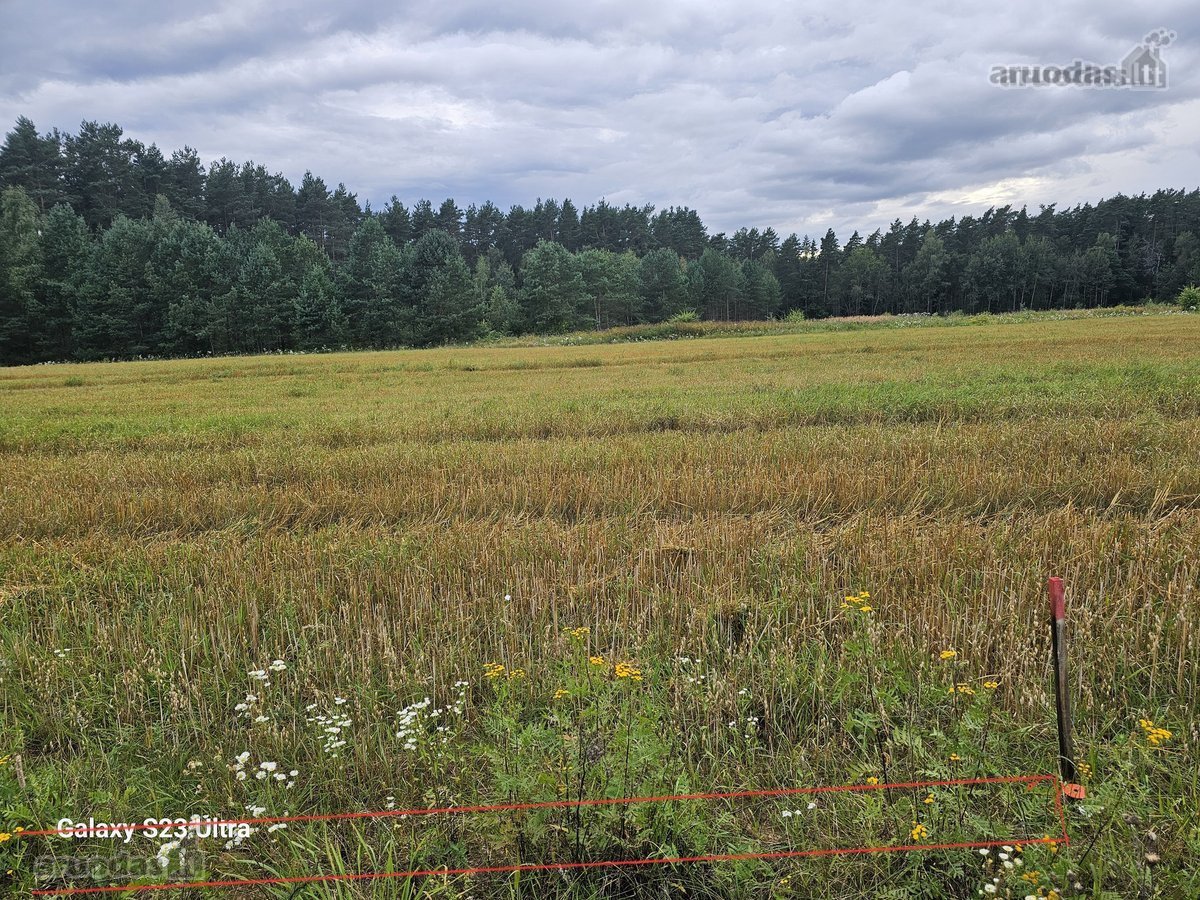 Parduodami 2 žemės sklypai 0,1260 ha ir 0 - nuotraukos Nr. 12