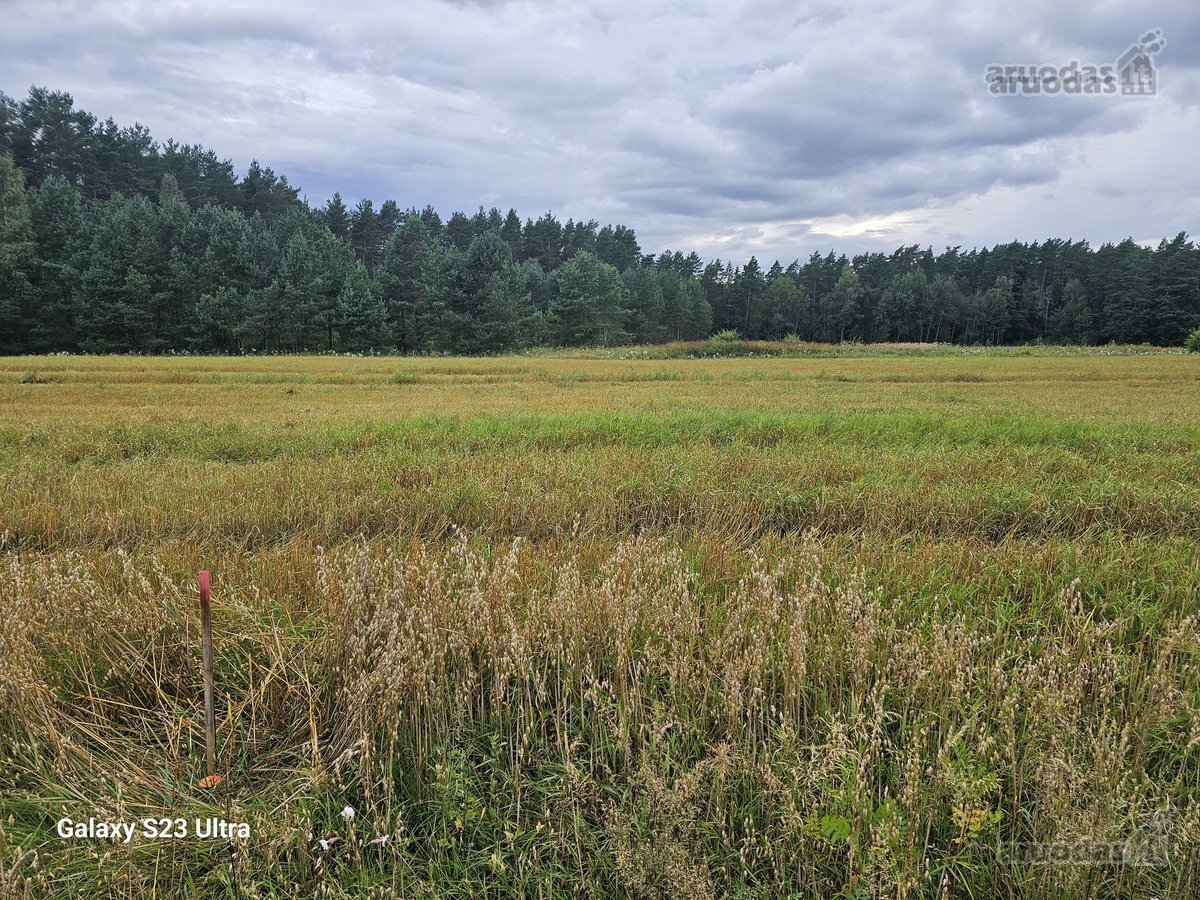 Parduodami 2 žemės sklypai 0,1260 ha ir 0 - nuotraukos Nr. 14