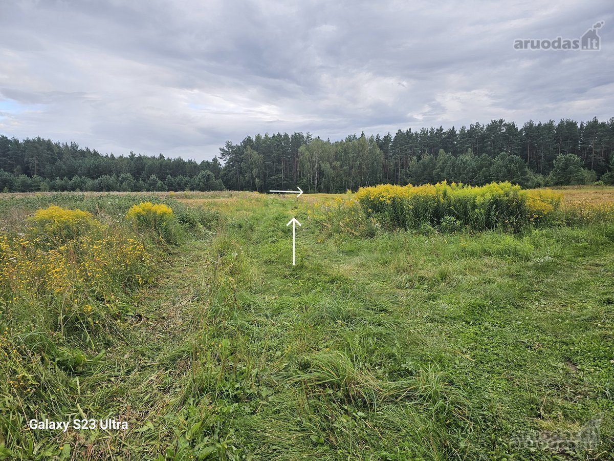 Parduodami 2 žemės sklypai 0,1260 ha ir 0 - nuotraukos Nr. 9