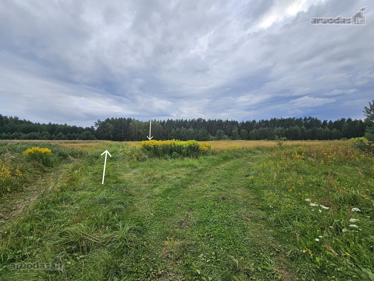 Parduodami 2 žemės sklypai 0,1260 ha ir 0 - nuotraukos Nr. 10