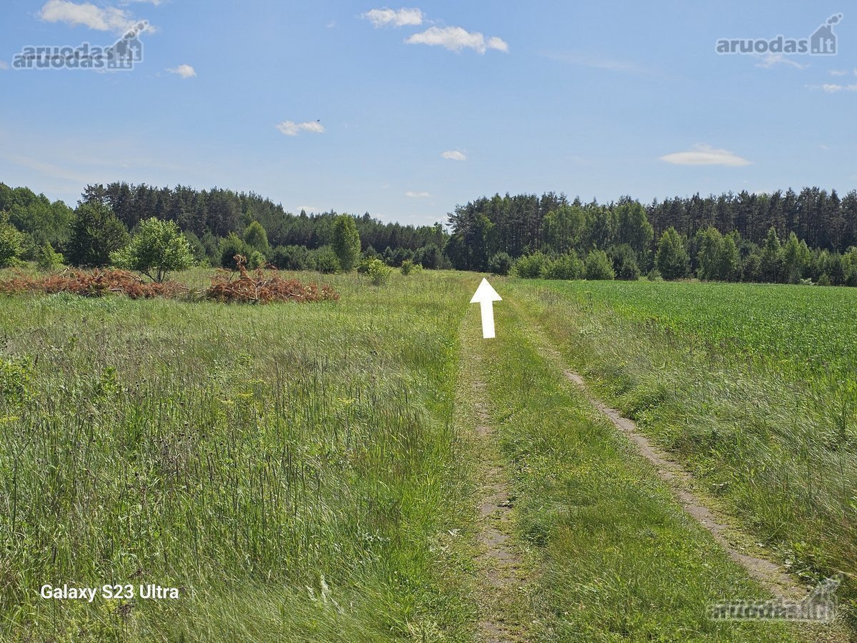 Parduodami 2 žemės sklypai 0,1260 ha ir 0 - nuotraukos Nr. 8