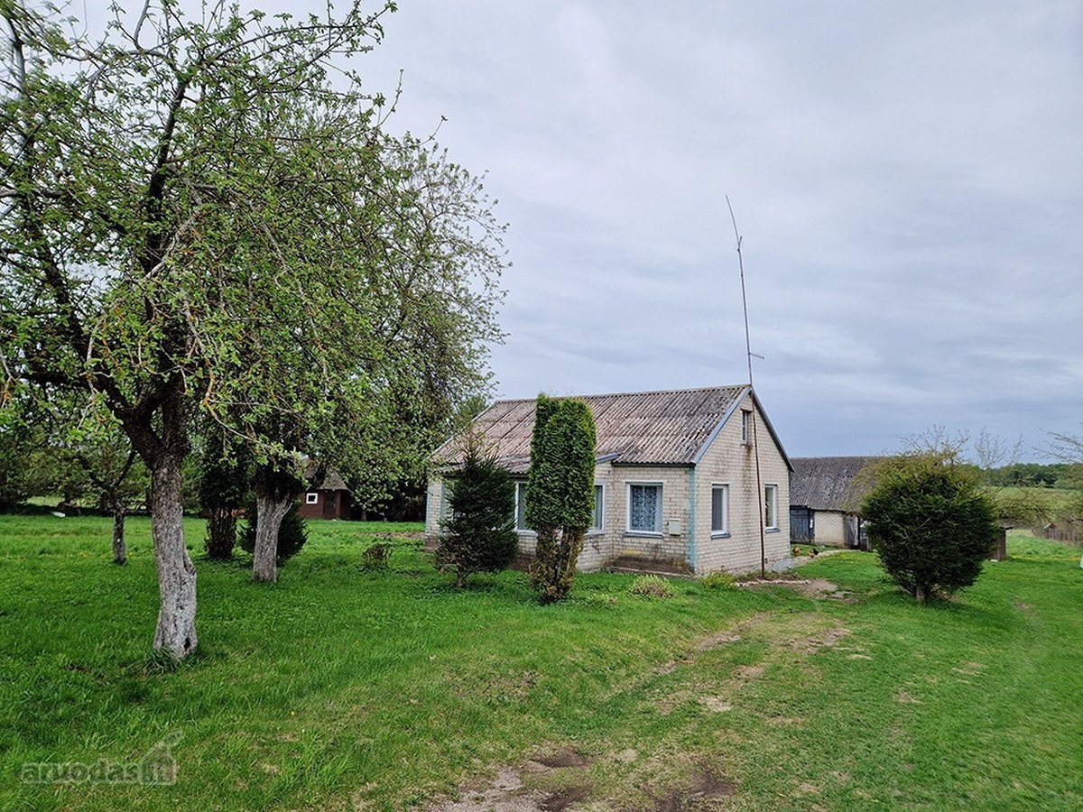 Ramus Ir Praktiškas Gyvenimas Ežerų Ir Miškų