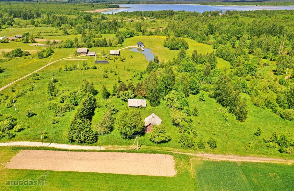 Kalvų, Klonių Ir Miškų Apsuptyje, Labanoro