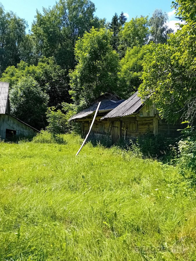 Parduodama sodyba (vienkiemis) su 8,5 ha - nuotraukos Nr. 4