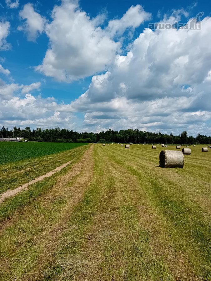 Parduodama sodyba (vienkiemis) su 8,5 ha - nuotraukos Nr. 6