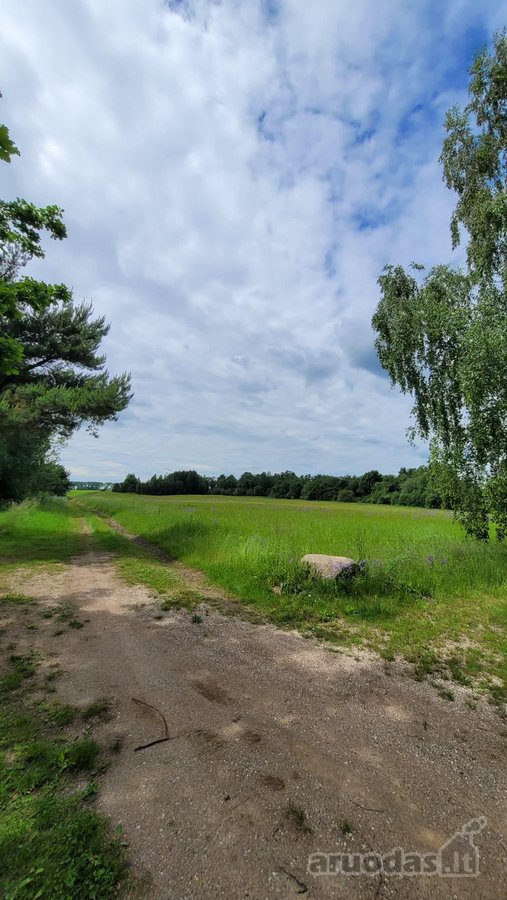 Parduodamas 5 ha žemės ūkio paskirties - nuotraukos Nr. 2