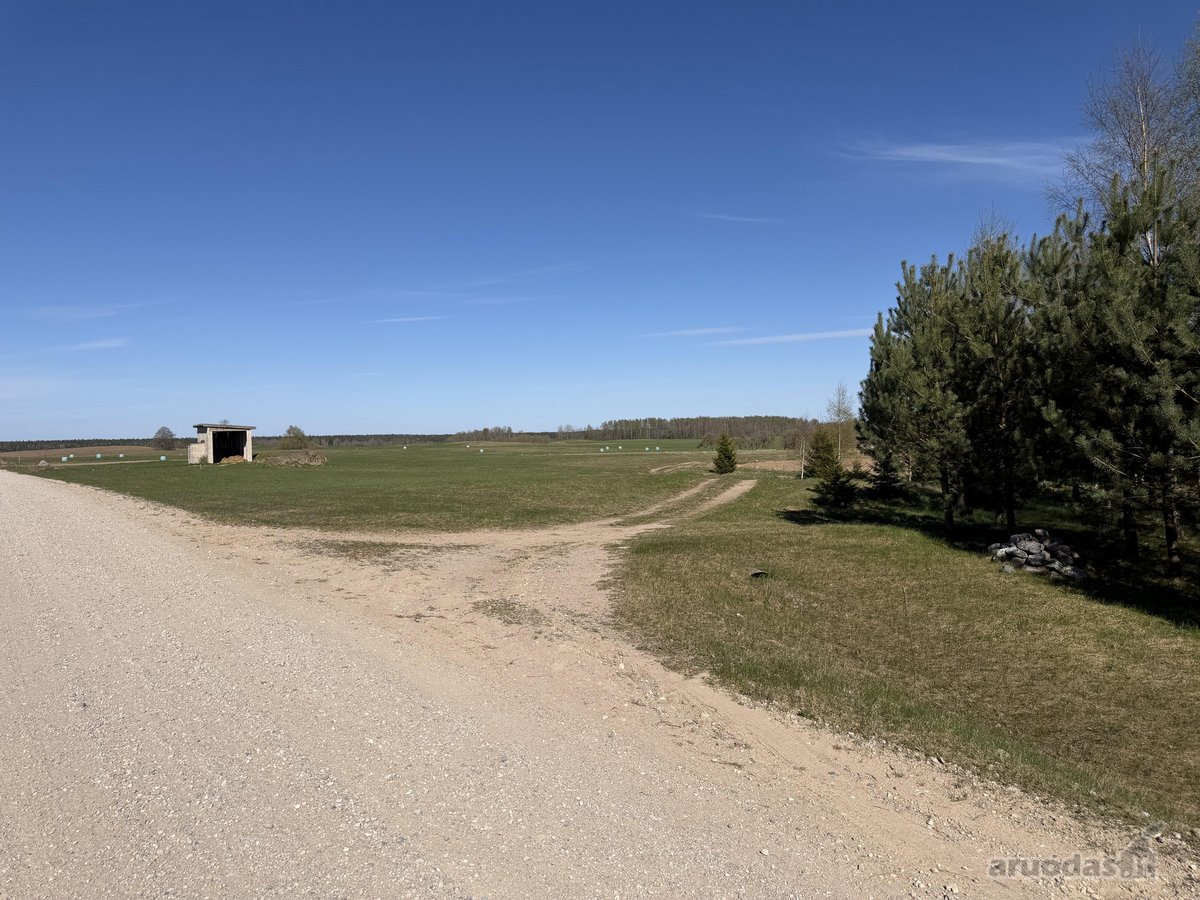 Parduodamas 2,00 Ha Žemės Ūkio Paskirties - nuotraukos Nr. 9