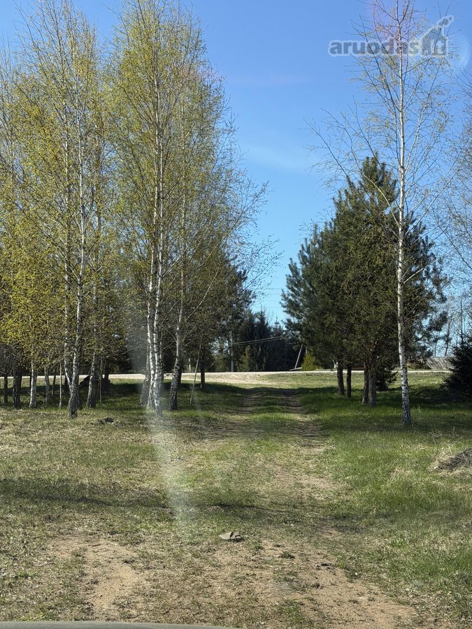 Parduodamas 2,00 Ha Žemės Ūkio Paskirties - nuotraukos Nr. 8