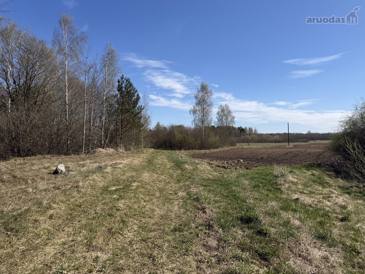Parduodamas 2,00 Ha Žemės Ūkio Paskirties - nuotraukos Nr. 6
