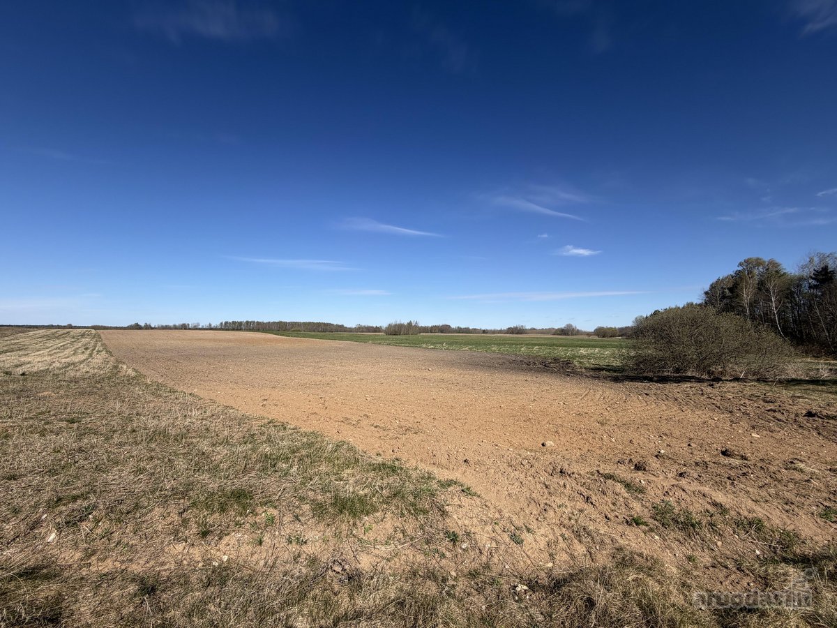 Parduodamas 2,00 Ha Žemės Ūkio Paskirties - nuotraukos Nr. 4