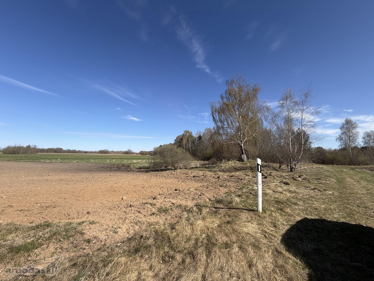 Parduodamas 2,00 Ha Žemės Ūkio Paskirties - nuotraukos Nr. 5