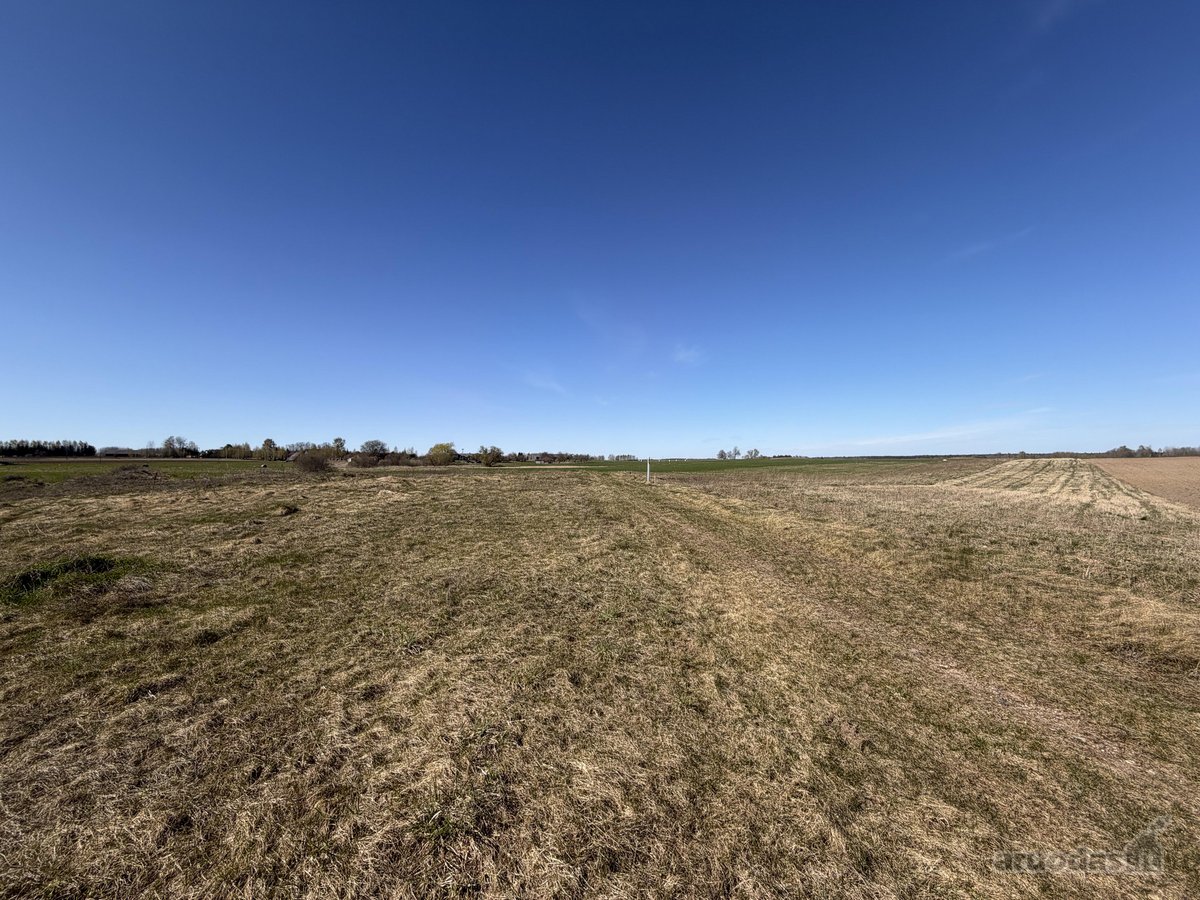 Parduodamas 2,00 Ha Žemės Ūkio Paskirties - nuotraukos Nr. 7