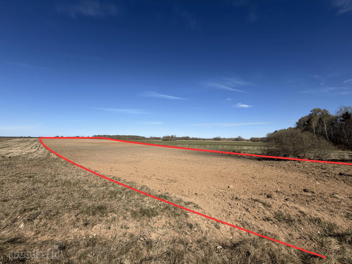 Parduodamas 2,00 Ha Žemės Ūkio Paskirties - nuotraukos Nr. 3