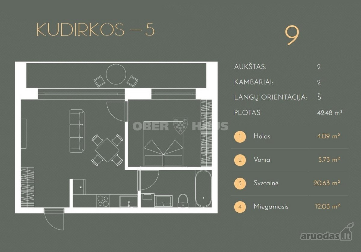 Gyventi ir poilsiauti Druskininkuose, reiškia - nuotraukos Nr. 33
