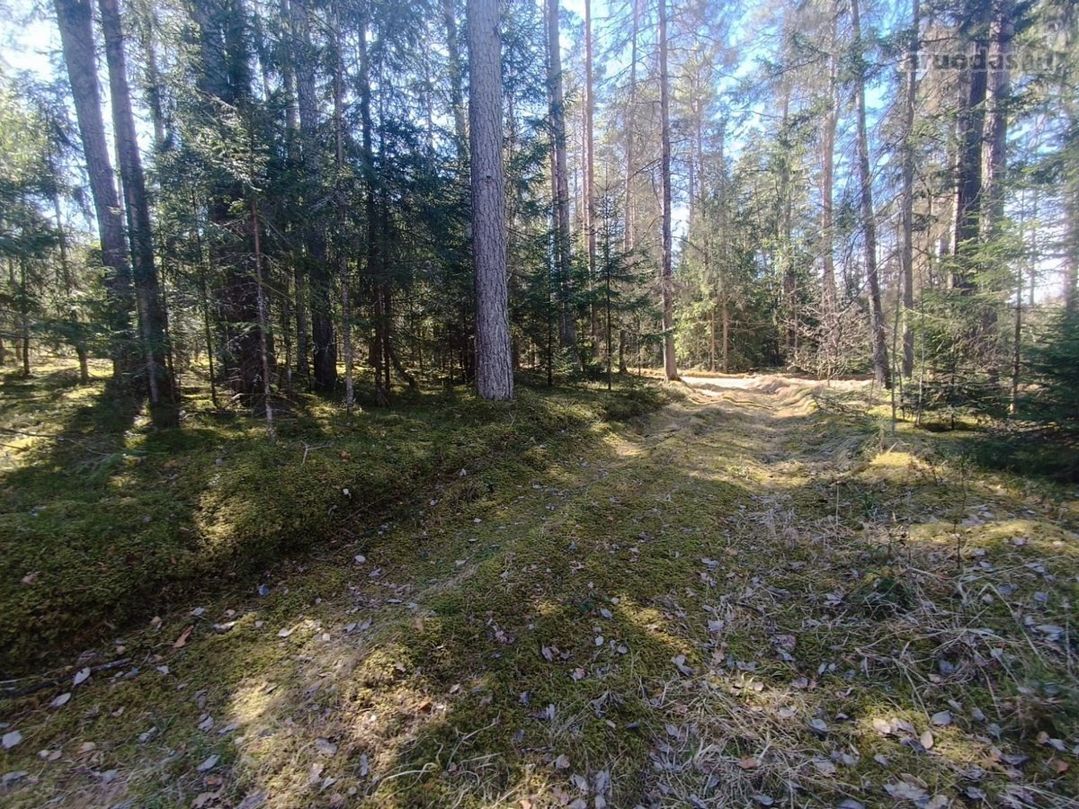 Ieškote ramybės ir privatumo išskirtiniame - nuotraukos Nr. 7