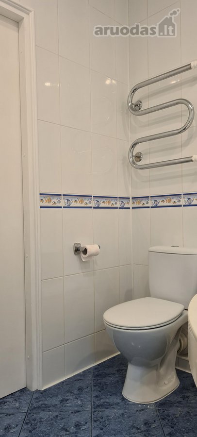 Nuomojamas erdvus 1 kambario butas (studija) - nuotraukos Nr. 11