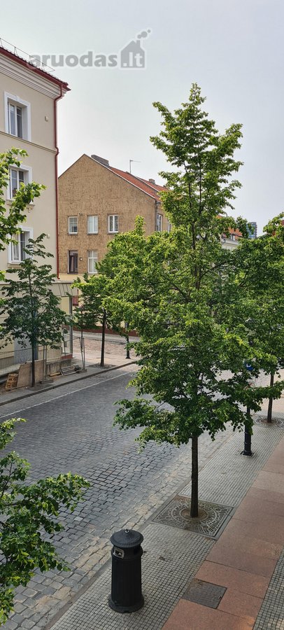 Nuomojamas erdvus 1 kambario butas (studija) - nuotraukos Nr. 14