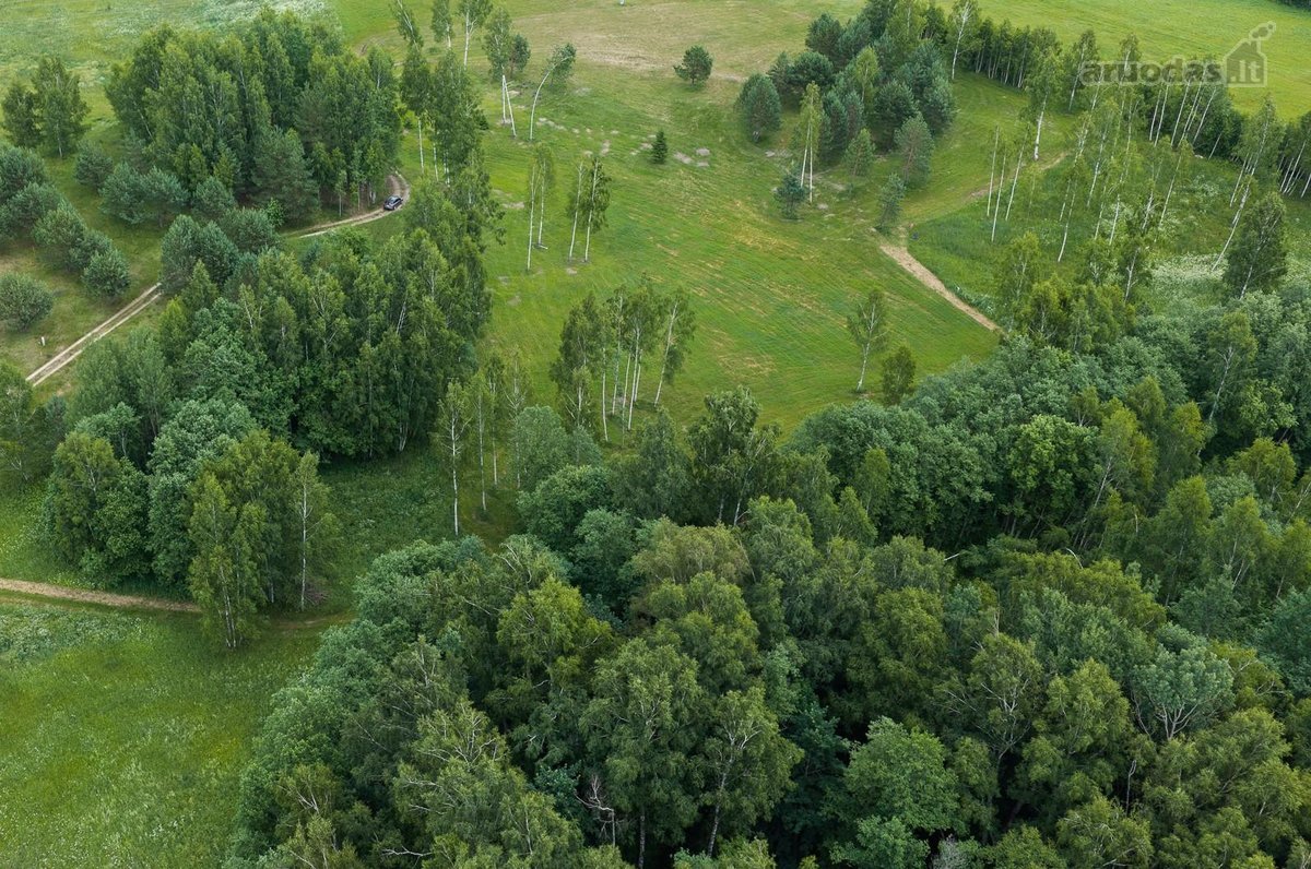 Parduodami 6 išskirtiniai namų valdos sklypai - nuotraukos Nr. 16
