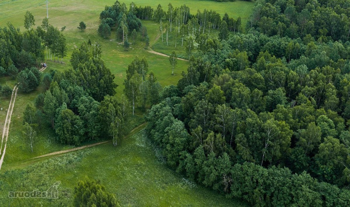 Parduodami 6 išskirtiniai namų valdos sklypai - nuotraukos Nr. 15