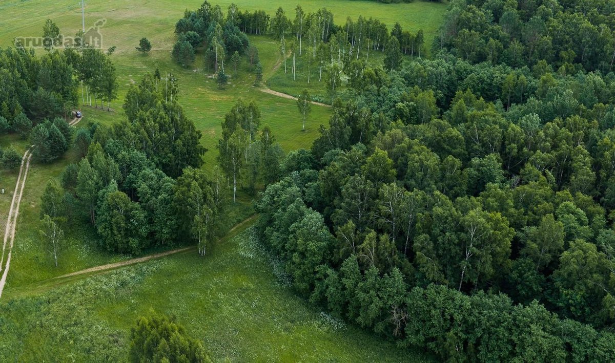 Parduodami 6 išskirtiniai namų valdos sklypai - nuotraukos Nr. 18