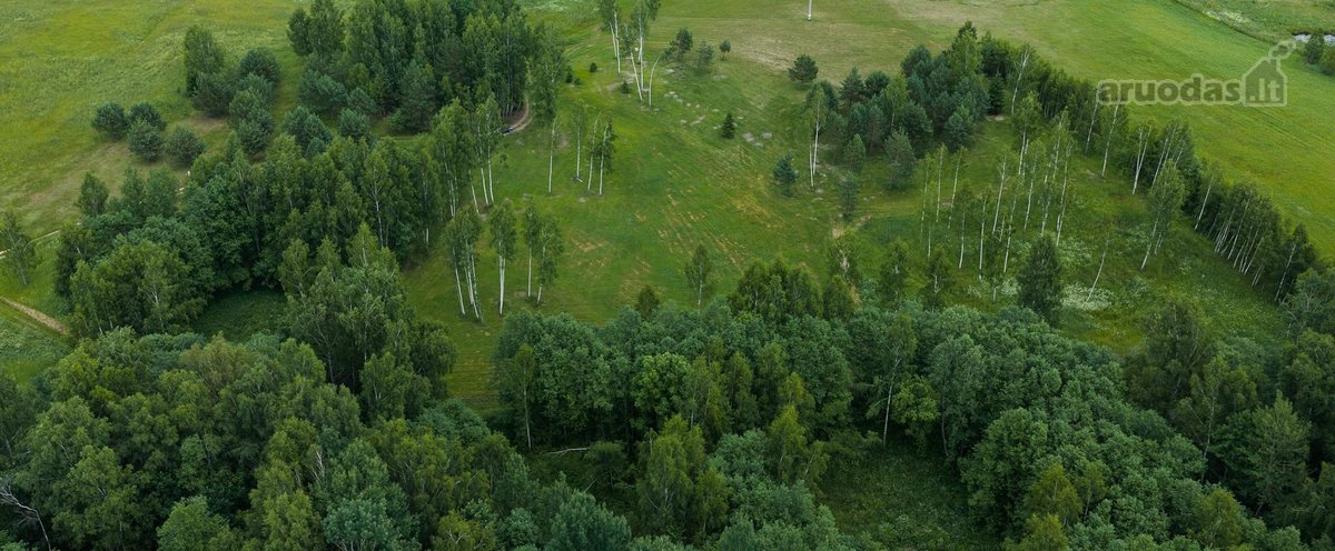 Parduodami 6 išskirtiniai namų valdos sklypai - nuotraukos Nr. 14