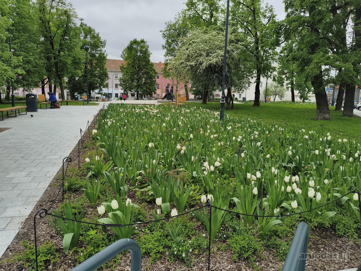 Tai Jūsų išskirtinė galimybė įsigyti tikro - nuotraukos Nr. 26