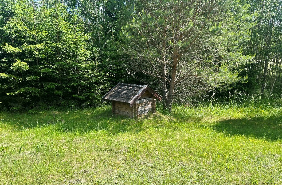 Išskirtinė Vieta Gamtos Apsuptyje – 2,08 Ha - nuotraukos Nr. 12