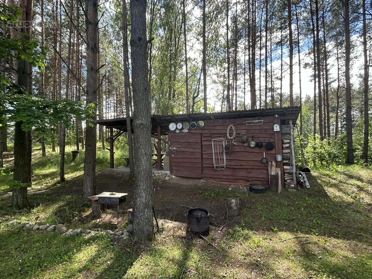 Išskirtinė Vieta Gamtos Apsuptyje – 2,08 Ha - nuotraukos Nr. 16