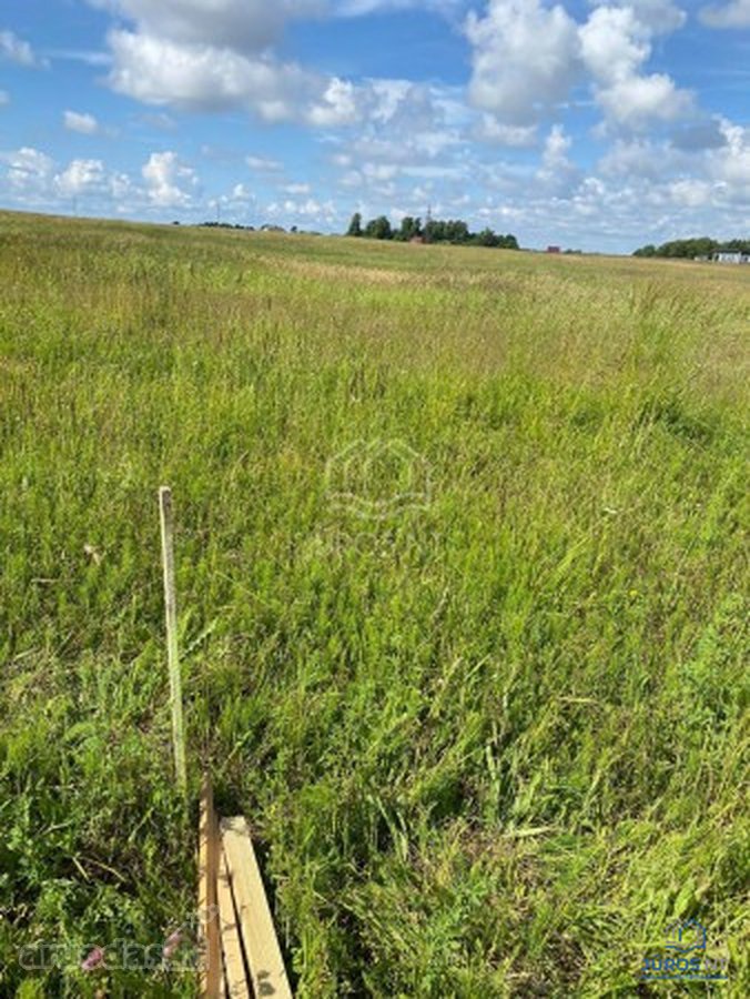 Parduodamas namų valdos žemės sklypas, Klevų - nuotraukos Nr. 3