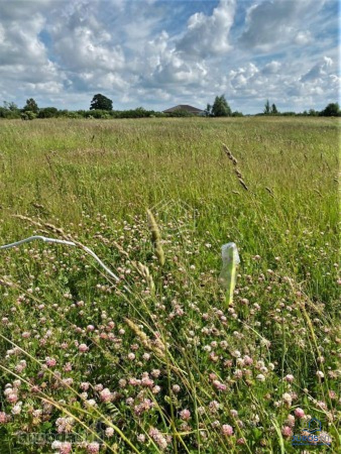 Parduodamas namų valdos žemės sklypas, Klevų - nuotraukos Nr. 2